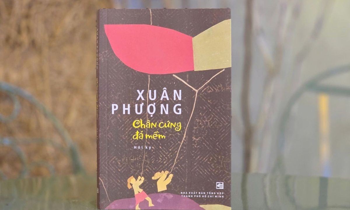 SHBET Việt Nam